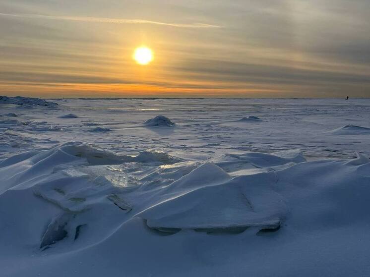 Самый высокий снежный покров зафиксировали в Петербурге с начала зимы