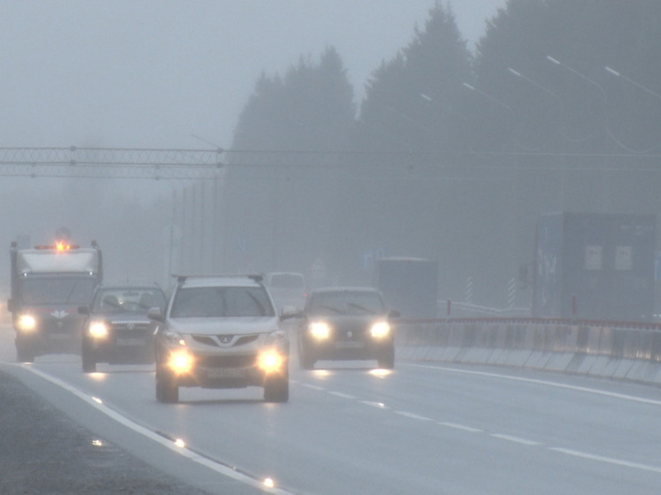 В ДТП на трассе «Кола» у легковушки пробило бензобак