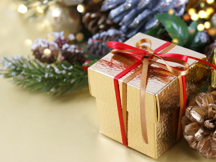 Запорожские следователи вручили новогодний подарок мальчику из Бердянска