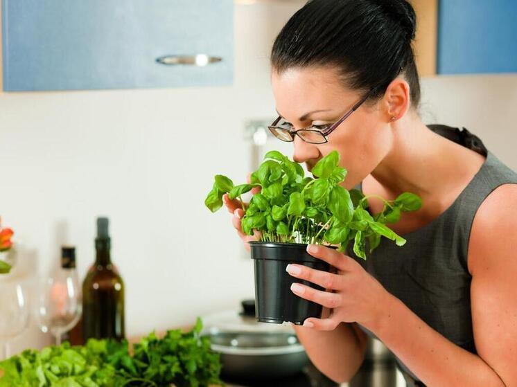 Специалисты объяснили, как бороться с сухим воздухом в квартире зимой