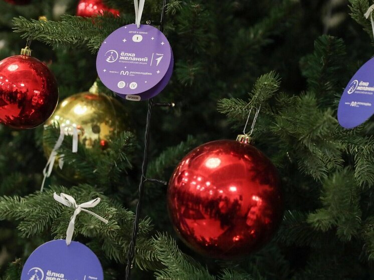 В Мордовии депутаты продолжают исполнять детские мечты в рамках акции «Ёлка желаний»