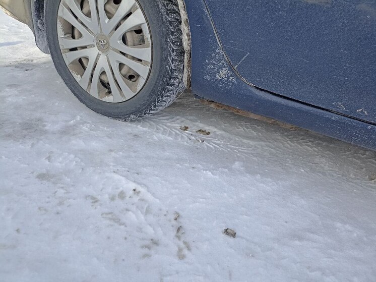 Калининград внезапно вырвался в лидеры по каршерингу
