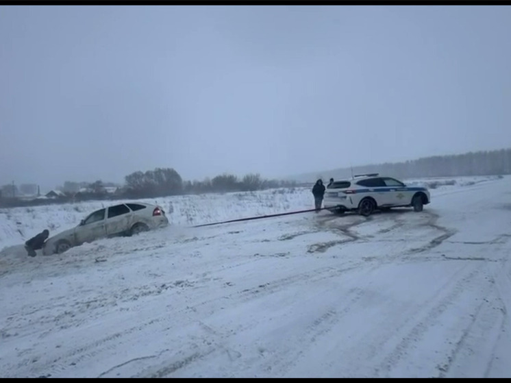В Пензенской области сотрудники ГАИ помогли водителю выбраться из снежного плена