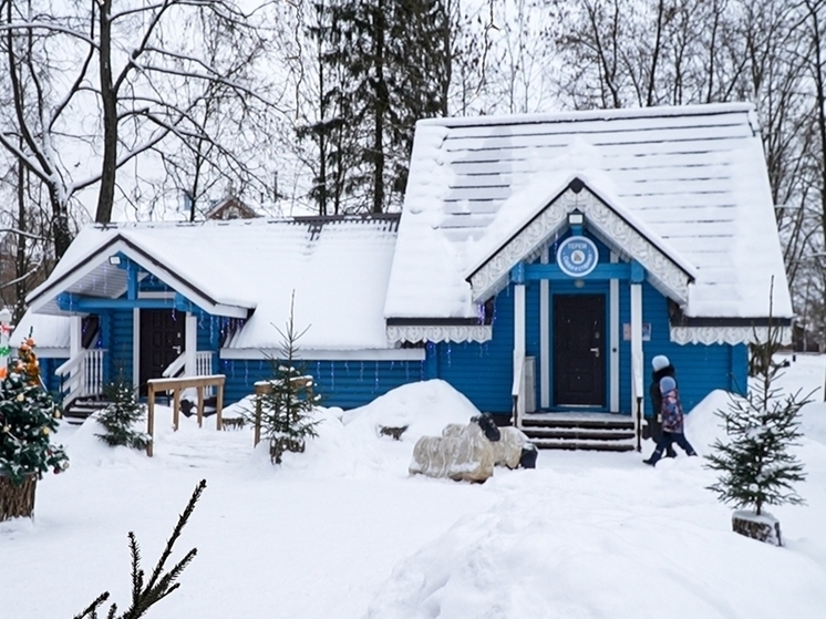 Информационный центр «Гости» открылся в Милютинском парке Череповца