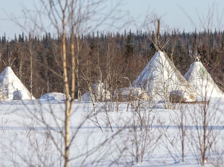 Жители Ямальского района отправились на снегоходе за бензином и пропали в тундре