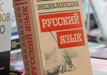 В номинации на знания самого плохого слова года мог бы победить «договорняк» или «peace deal», о котором регулярно на протяжении ушедшего года заявлял Дональд Трамп