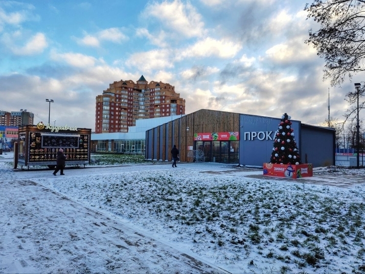 В Серпухове временно закрыли каток в парке
