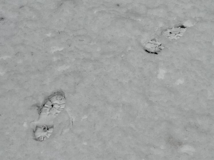 Около 76 сантиметров снега выпало за зиму в Петербурге