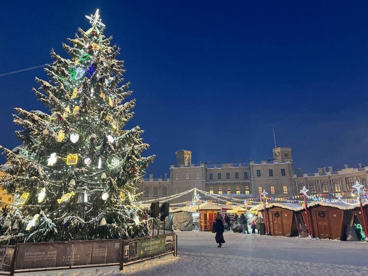 Синоптики пообещали ленинградцам 9 января ночью до −25, днем до −17 градусов