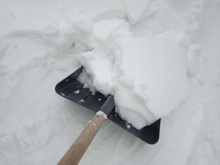Самый высокий снежный покров в Ленобласти зафиксировали в Сосново