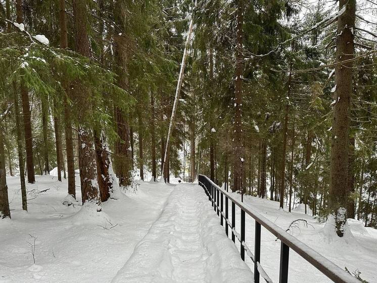 Детские квесты с тюбингами и фантами предложили проводить в парках Петербурга