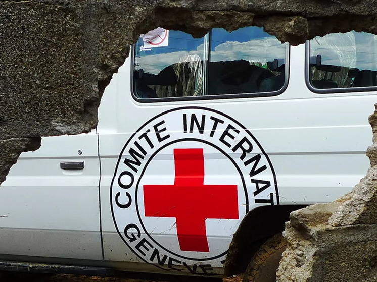 Более 120 жителей Курской области вернулись на родину из Сум при содействии МККК