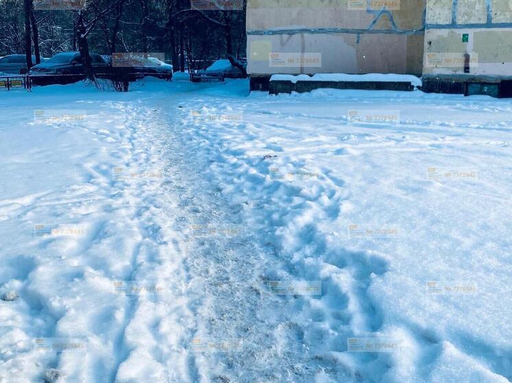 В Выборгском районе Петербурга жители требуют расчистить дворы от снега