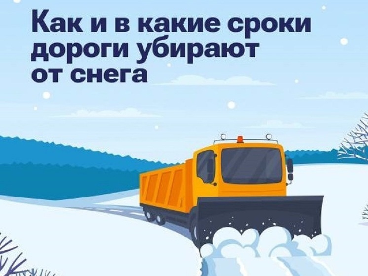 Жителям Струго-Красненского округа рассказали про порядок уборки дорог от снега