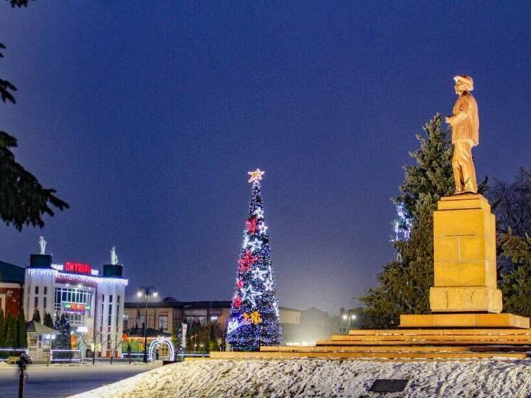 Тамбовский триумвират: три ёлки из региона зажгутся на всероссийском конкурсе!