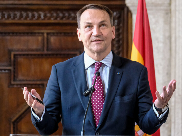 Сикорский: Украина переносит часть производства БПЛА и ракет на территорию Польши