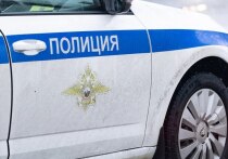 Мурманские полицейские присоединились к акции «Полицейский Дед Мороз», чтобы поддержать детей в трудной ситуации