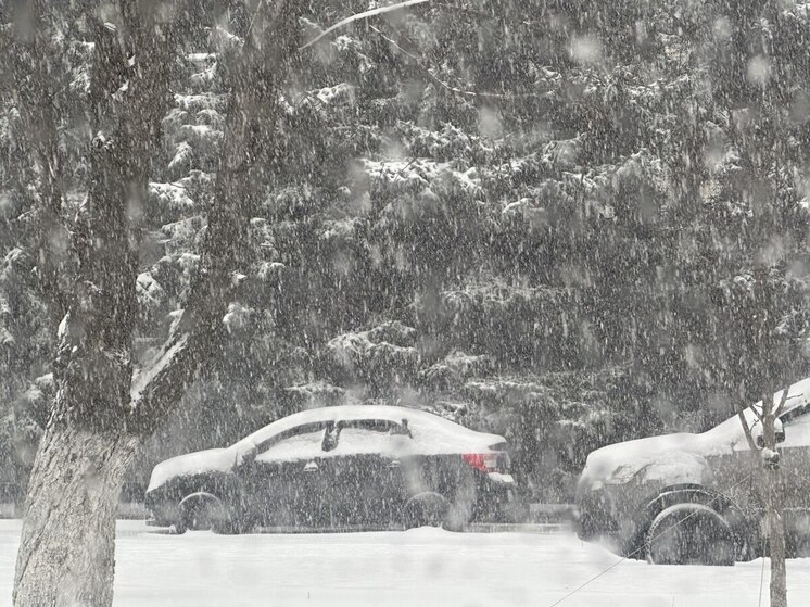 Пензенцев просят убрать авто с улицы Лядова для уборки снега