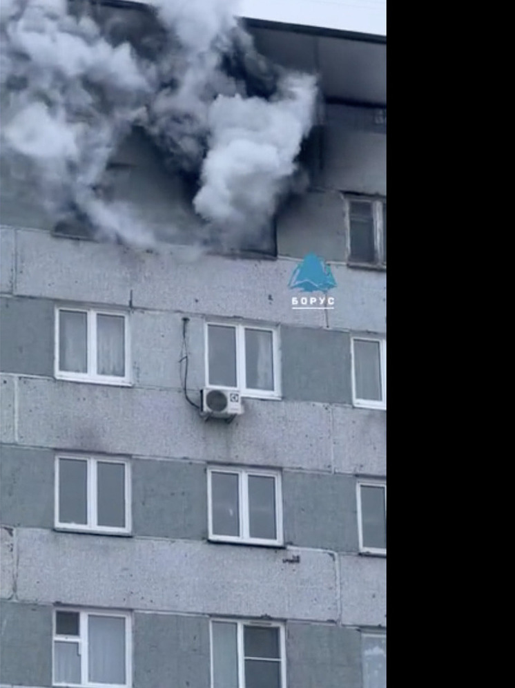 В Красноярске при пожаре в многоэтажке погибли пять собак