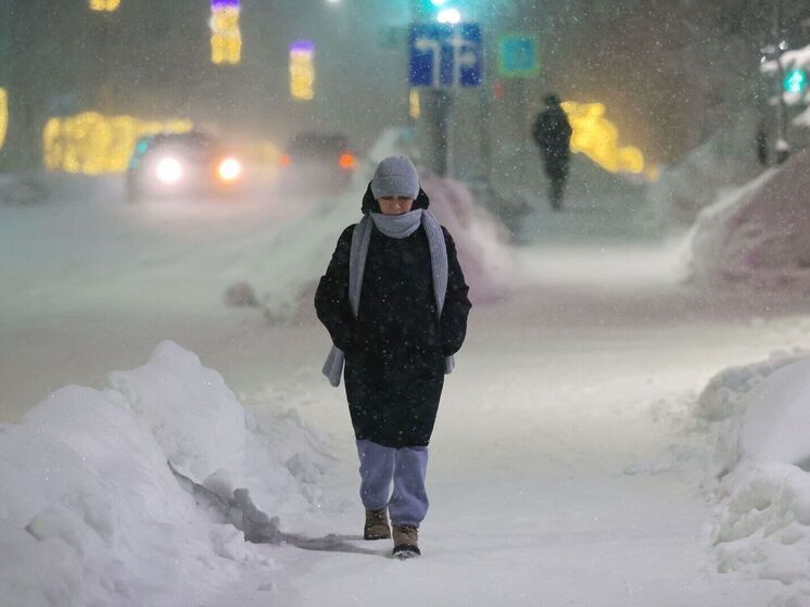 Синоптики предупредили ямальцев о сильном ветре и 40-градусных морозах
