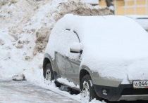 В столице 8 января после обеда начался снегопад, который грозит обернуться снежным апокалипсисом
