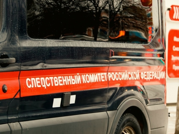 В СК рассказали о наказании для подростков за совершение диверсий