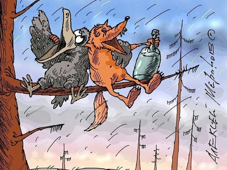 10 анекдотов про уток