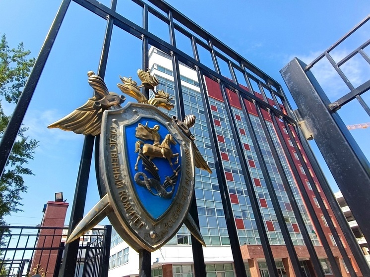 Жителя Новоуральска обвиняют в убийстве и надругательстве над телом