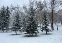 Какой сегодня день по народному календарю?

11 января по народному календарю известно как Страшный день