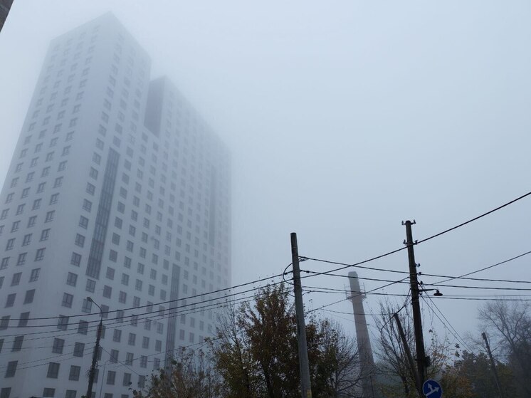 Какой сегодня день по народному календарю?

12 января в народном календаре отмечается Анисьин день — день памяти святой мученицы Анисии