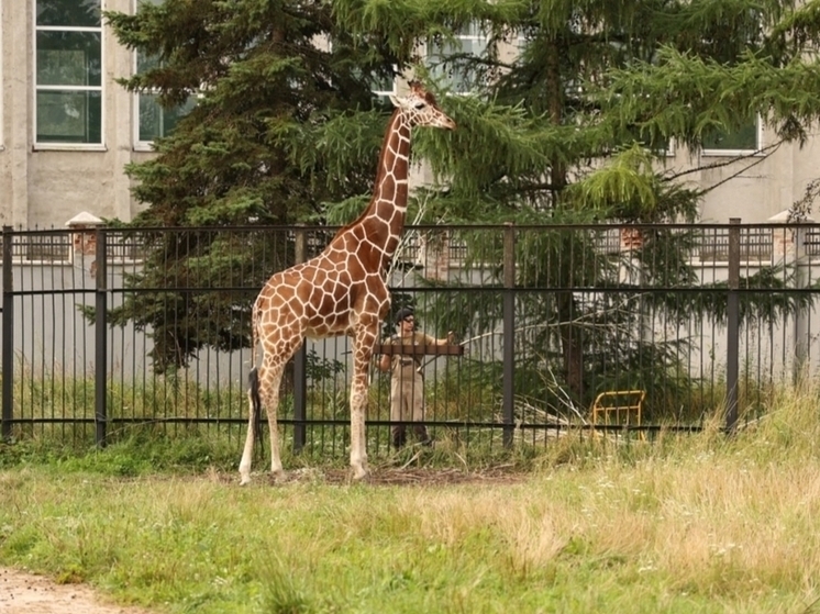 В Калининграде начнут большую реконструкцию зоопарка к 130-летию