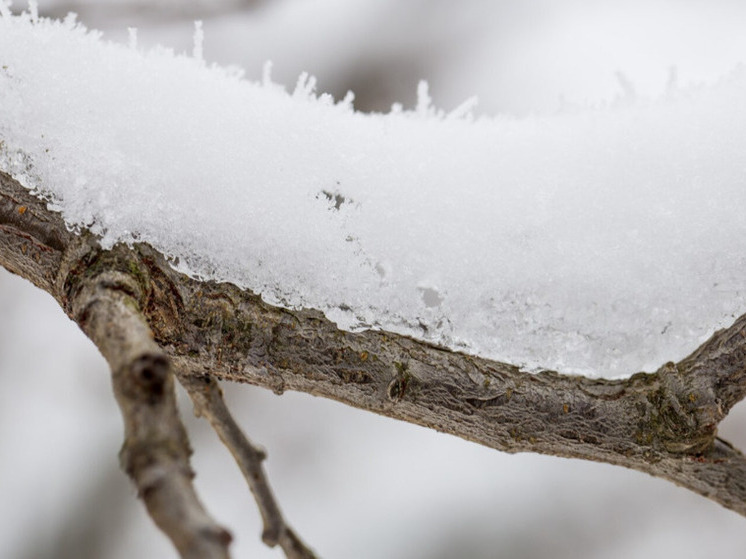 Югра ждёт оттепели: после крепких морозов в регион приходит потепление