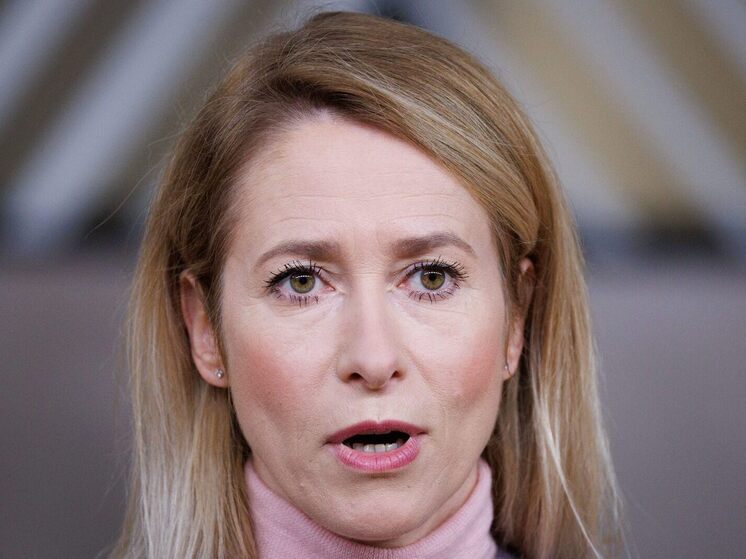 Каллас отметила, к чему готовиться Трампу в случае захвата Гренландии