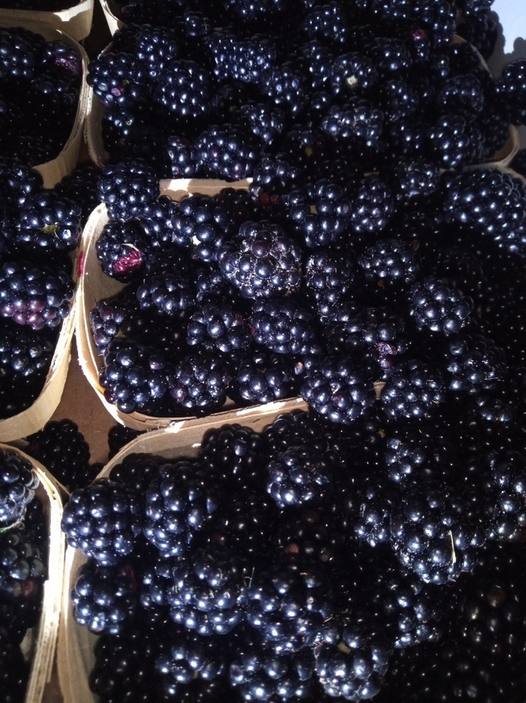 Более 3 тысяч тонн свежих ягод перевезли через границу Псковской области