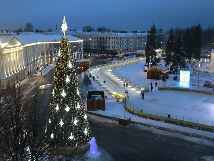 Ярославцев снова возмутила организация работы «ЯКатка»