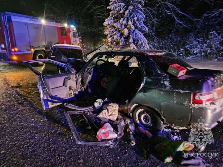 В ДТП на трассе в Гатчинском округе пострадали 3 человека