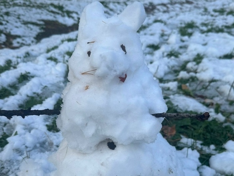 Дорожники спасают Ижевск от снега 9 января