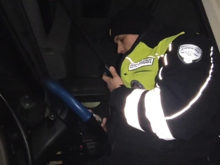 Тульские инспекторы через рацию предупреждают водителей фур о мощном снегопаде