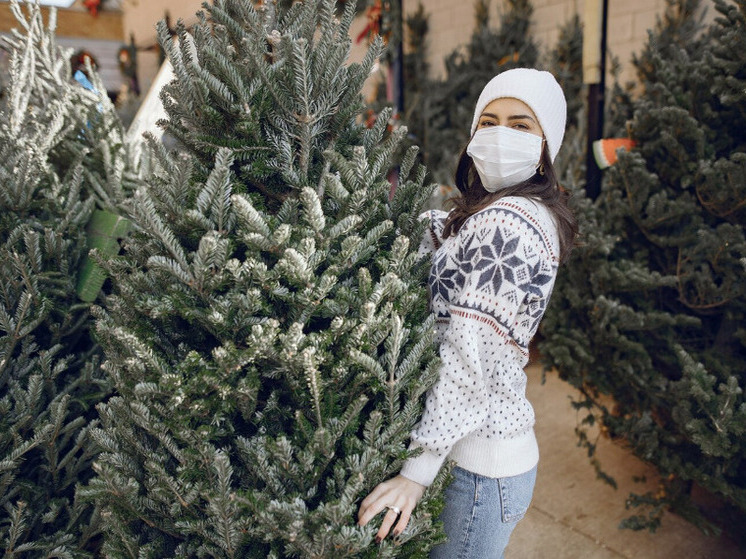 В Тюменской области стартовал приём новогодних ёлок: где и как сдать дерево после праздников