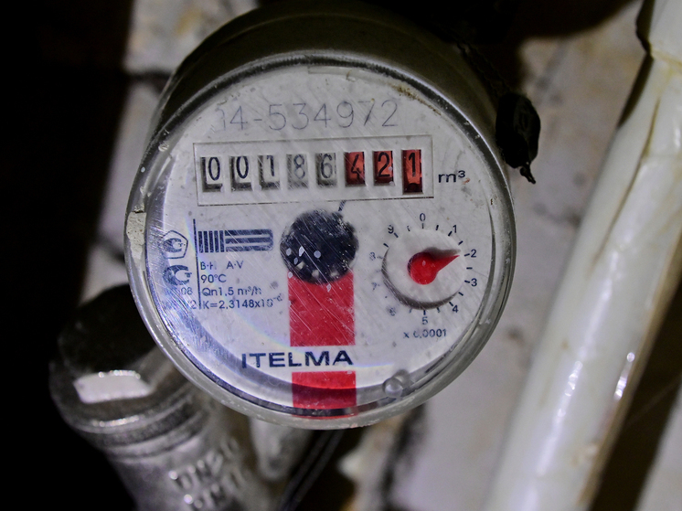 Жителей Москвы предупредили о мошенниках, притворяющихся коммунальщиками в новогодние праздники