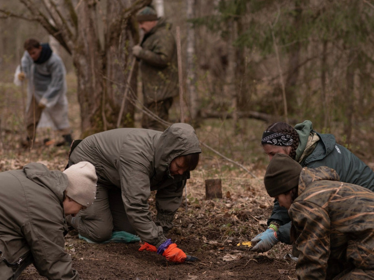 Вологодские поисковики подняли 189 солдат Красной армии в ходе экспедиций в 2025 году