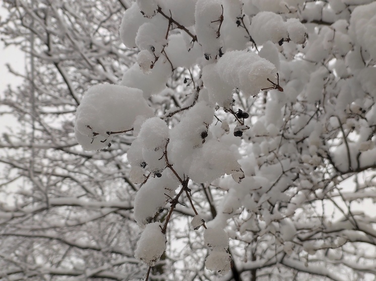 Ленинградцев 9 января ожидает гололед и до -16 градусов