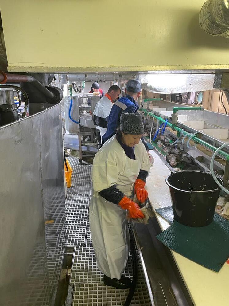 На Камчатке в разгаре белая путина