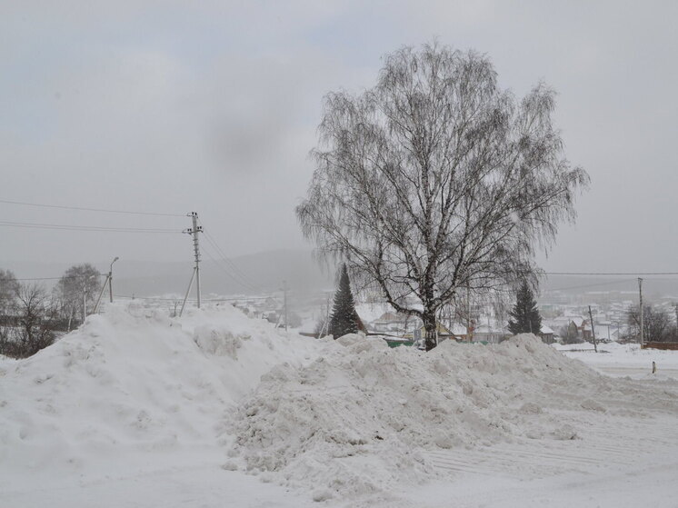 Пик снегопада в Москве может прийтись на период с 06:00 до 12:00