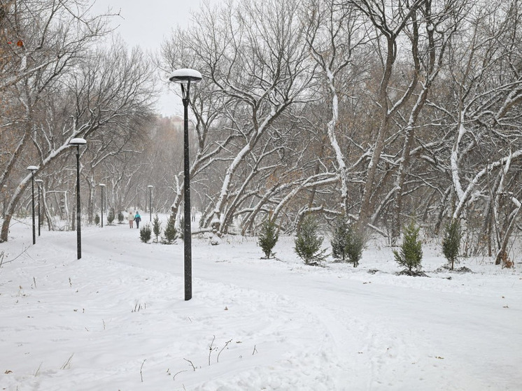 В 2026 году 82 общественные территории благоустроят в Алтайском крае