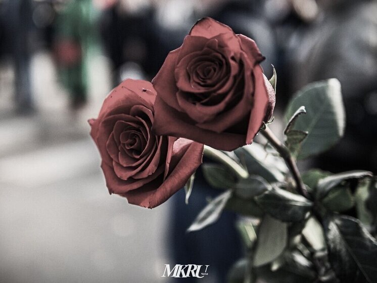 Бывший доцент кафедры ЗабИЖТ Наталья Демидова скончалась в Чите