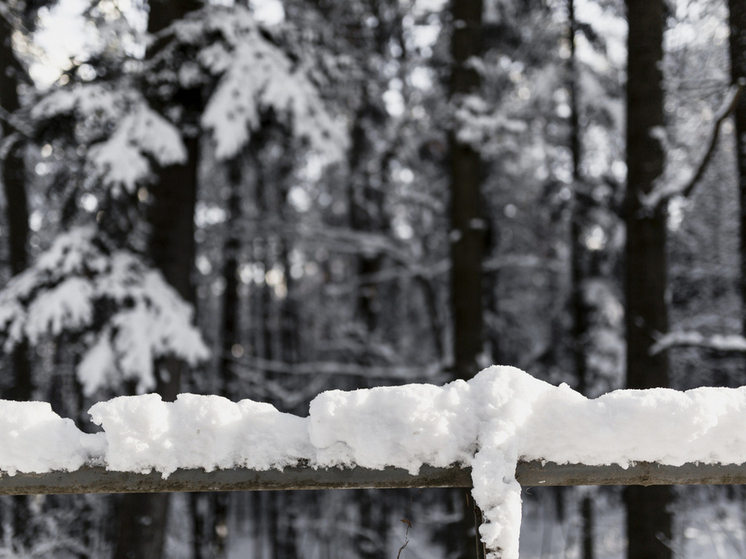 Прогноз погоды в Томске: ожидается снег и усиление ветра