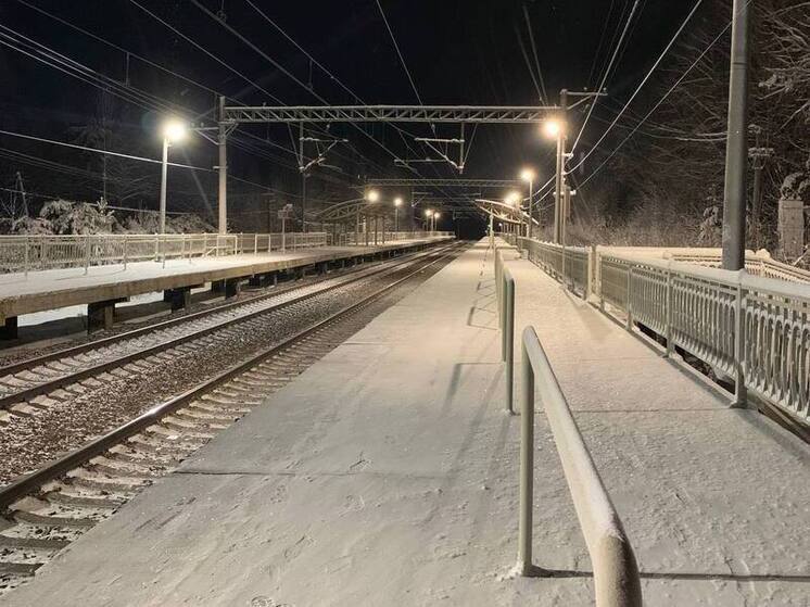 Подросток сорвался с электропоезда и мгновенно умер после падения в Ленобласти