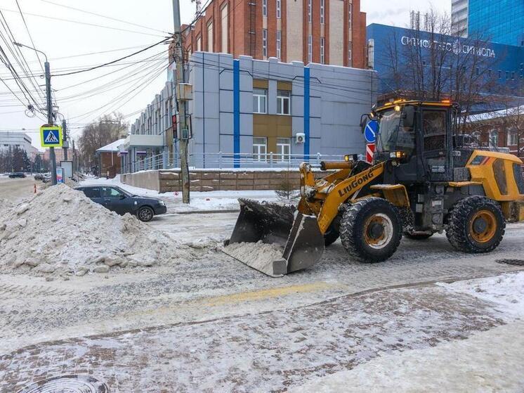 Лошкин потребовал привести в порядок пешеходные маршруты к началу рабочей недели