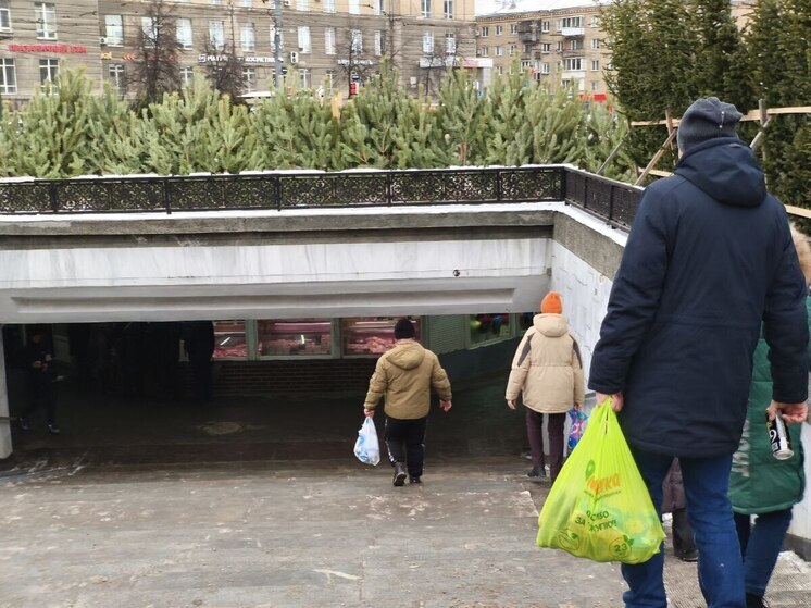 В челябинской мэрии рассказали горожанам, как правильно выбрасывать ёлку